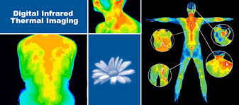IR (Infrared) Imaging market